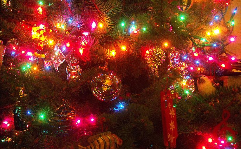 An Advent of Contemplative&nbsp;Practices